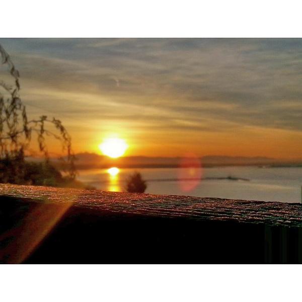 shadysace's tweet image. #tbt to the only time I ever saw frost in White Rock while I lived there! ♥ @HelloBC #explorebc #myoldhome