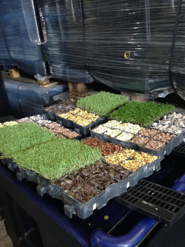 JoshEcoGrid's tweet photo. Work in progress pics of #EcoGrid Porous #Paving display samples being sent to #builders merchants across #UK #trade http://t.co/X9oMxQxB27