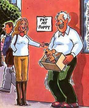 PaulaGinge's tweet photo. #thillythursday 😝
@Chris_1turk @buttonbabe7 @beccapro1 @Siantov @lucy_roberts25 http://t.co/NndQVS3BPH