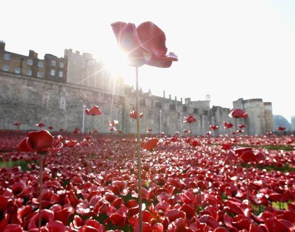 IndyVoices's tweet image. London's sea of poppies is a beautiful monument to the fallen of World War I
ind.pn/1E4Y7oG