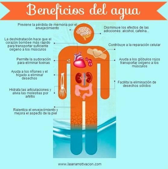 Beneficios del Agua