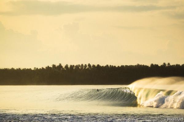 richislobin's tweet image. Just perfect