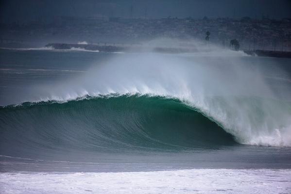 richislobin's tweet image. 