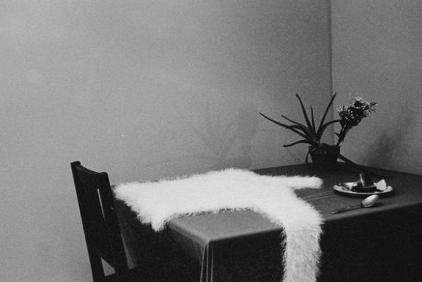 sethrodent's tweet image. 