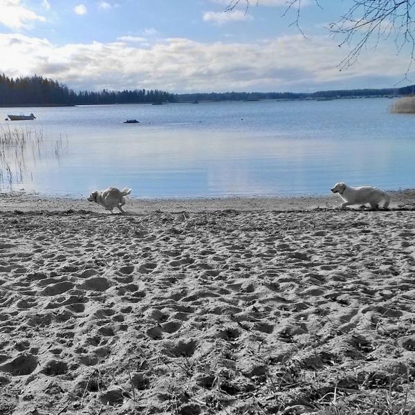 TuulaHelander's tweet photo. @liepukka Täällä etelämpänä on ollut tänään kaunis auringonpaiste #rantakeli http://t.co/vfeQFZMNoQ
