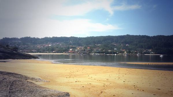 Joan Cañellas tweet media