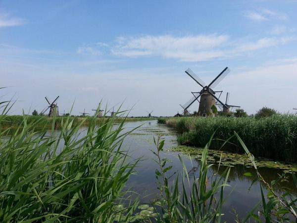 Bekijk een molenerf of de Blokker of ga actief aan de slag met groen. Het kan op 6 nov.goo.gl/EuHz5d