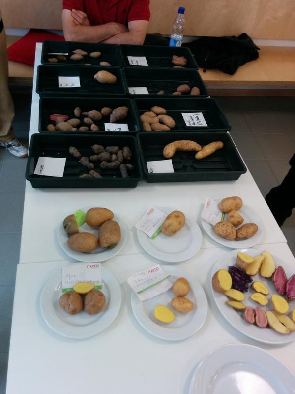 Emskirchen's tweet photo. Kartoffelschmeckertag im Aurachtreff. Herr Kempe hat sehr schön über Sorten, ob rund oder unförmig, berichtet. lecker http://t.co/XgiSpAzVJk
