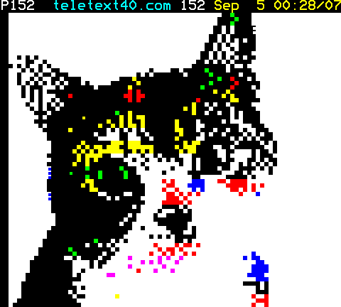 illarterate's tweet photo. #NationalCatDay Here's Blodwen of the Teletext! http://t.co/YE62c7D4zS @Teletext40 #pixelart http://t.co/Rdw9RwxnmD