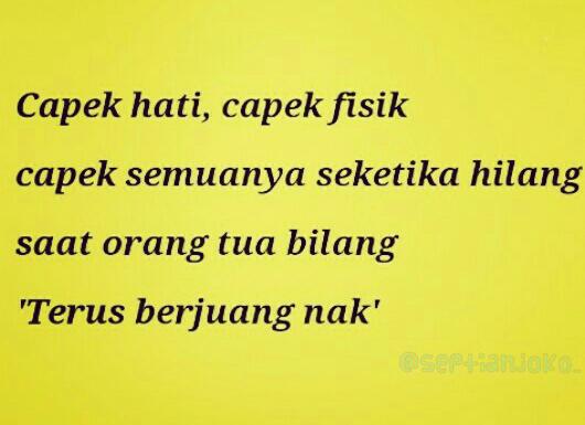 Melissa Kang tweet media