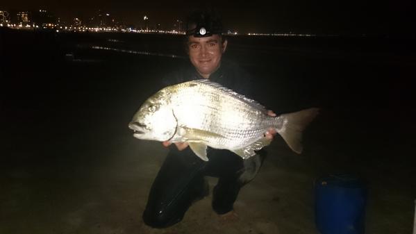 RobertGordonKyl's tweet photo. Got this 63cm stumpy last night #fishing for a sandy.#assassin #shoreangling #Kzn #shimano http://t.co/i16U03hK2l