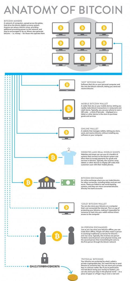 bitcoin vs tulipani