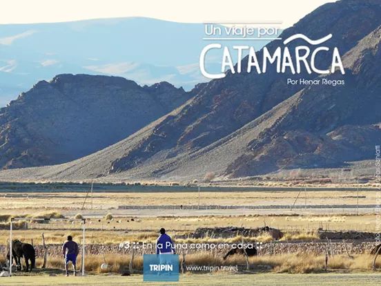 TripinArgentina's tweet photo. 3er entrega de un #ViajeXCatamarca RT "En la #Puna como en casa" por #HernarRiegas . Leela en http://t.co/0UeGCYdWhH http://t.co/u94a5q2R2o