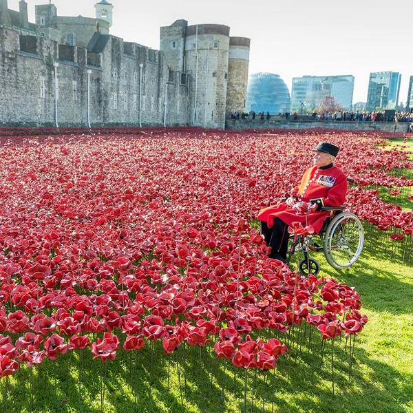 Lest we forget. Such an evocative pic. Please RT and wear your #poppy with #pride <a href="/PoppyLegion/">Royal British Legion</a> <a href="/KatieMagnet/">KATIE MAGNET ;💞🧲X🌳</a>