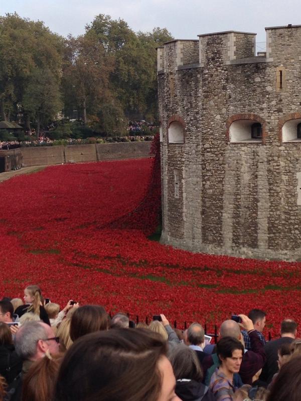 Tower of London installation.  Profound.