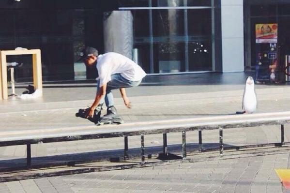 nggit (@hinggitsepta) on Twitter photo 