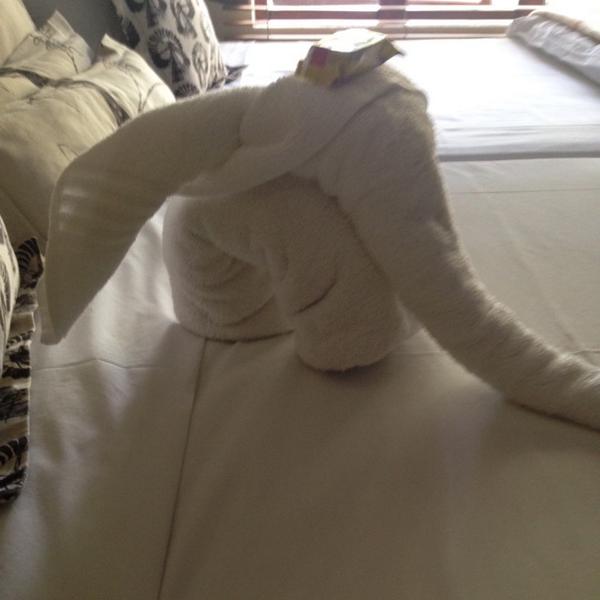 Caroline_Kay_'s tweet photo. How cute, found this little elephant in my room! Love it 😊 #art#southafrica http://t.co/JkijkTWnyI