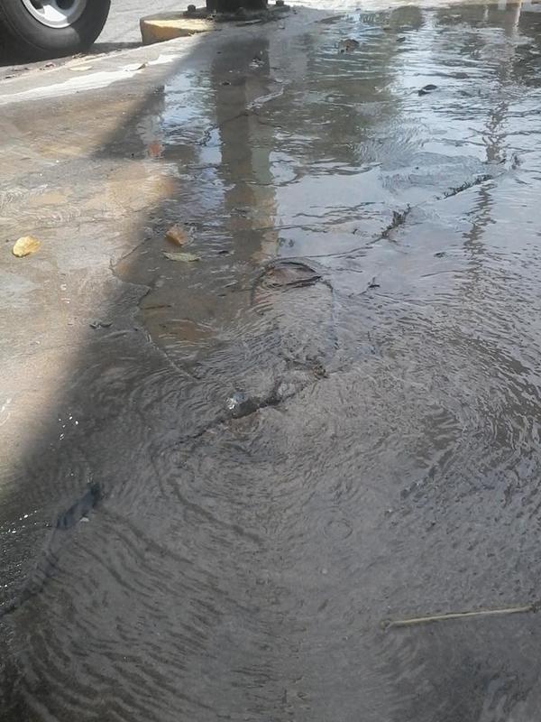 MVZRivas's tweet photo. @jcarloshuerta fuga en paseo Tab. col  municipal.se reportó al SAS, dicen que si bien nos va, la prox semana la ven http://t.co/GOhLWHhP1Y