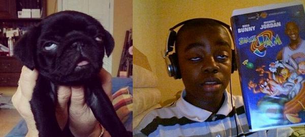 SonParecidos's tweet photo. Tener cara de perro... http://t.co/rM0KjzJ67x