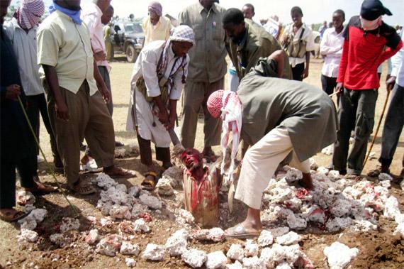 Peroun01's tweet image. Décapitation? Ça c'était hier. Aujourd'hui en &amp;lt;Plat du Jour&amp;gt; c'est #Lapidation →Menu de l'Auberge "#Islam de Paix"