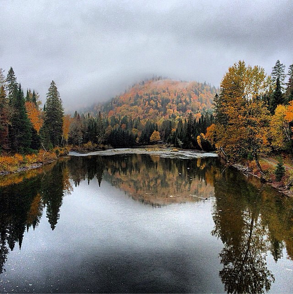 DestinationNB's tweet photo. Our Instagrammers have outdone themselves this #NBFall. Here's the highlight reel: http://t.co/PEcaVrSnOZ http://t.co/K49ZCQXXl6