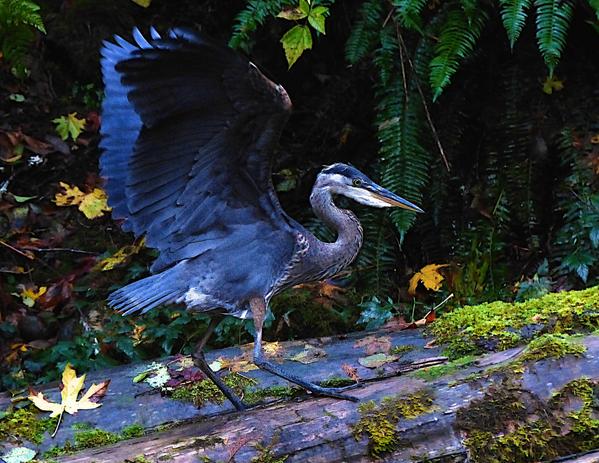 Brian Rundle (@BrianRundle) | Twitter