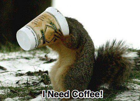 wareFLO's tweet photo. Everyone OK? #CHEST2014 #ACSCC14 #MGMA14 #MIS2014 #ACEP14 #NACHCfom14 #HITsm #HCLDR #HCSM One more, if you dare! http://t.co/ikg2yHzeL8