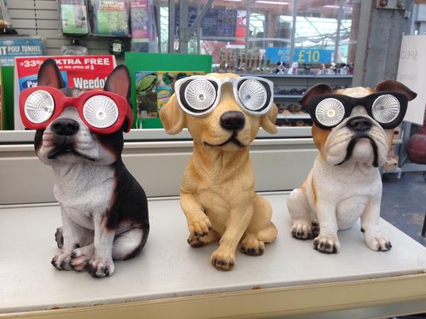 Whichpicapp's tweet photo. How much would you pay for that doggy in the window? Winning pic! #whichpic #gamedev #funny http://t.co/wLvZ3pwApu