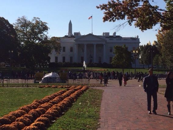 DrivenMembers's tweet image. Driven IS in DC. Make the right choice. Get Drivenmembers.com