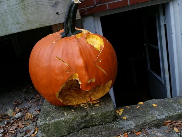 danielle_morgan's tweet image. Poor deformed, abused #halloweenpumpkin. #Toronto #rodentproblems #roncesvalles #Halloween