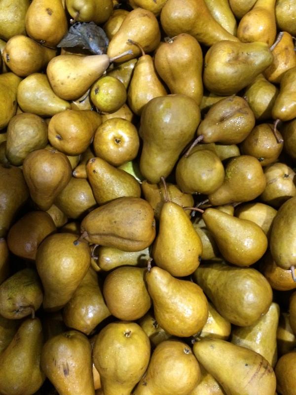 WellesleyRogers's tweet image. #WMP SF Peninsula Team giving back! @SFMFoodBank @MarriottIntl #GCAW2014 #spirttoserve #pears