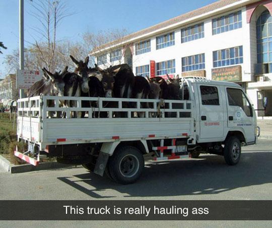 MensHumor's tweet photo. Really hauling ass there. http://t.co/btDbvrfiBh