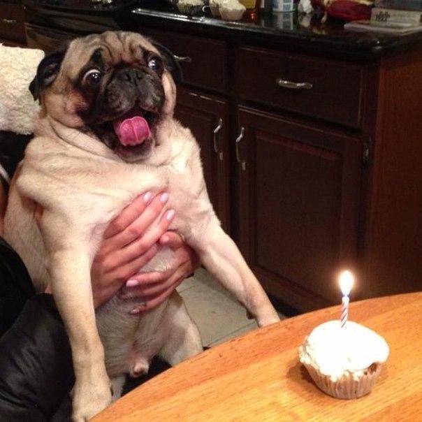 HAPPY BIRTHDAY!!! FRANK  IERO IS COOLEST  