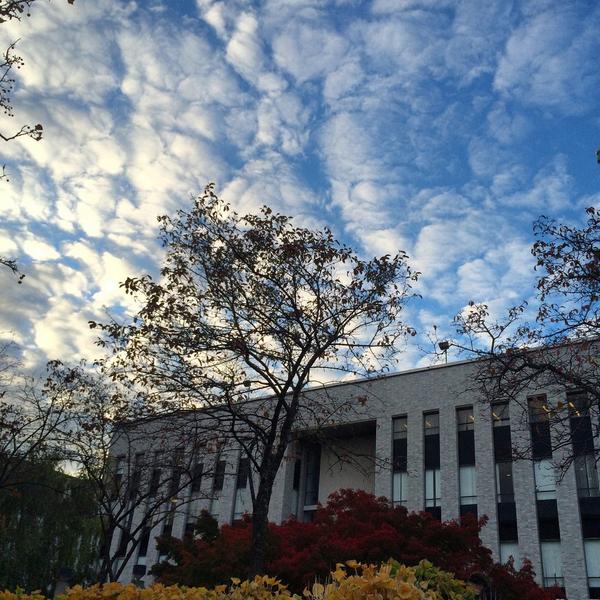 NU_CAMD's tweet photo. Beautiful sky over @NUSL... #northeastern #boston #fallingforboston http://t.co/NIbLgnpkuu