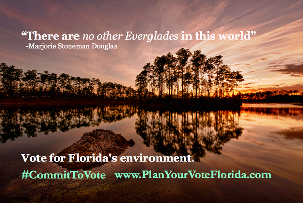 Plan Your Vote - FL tweet media