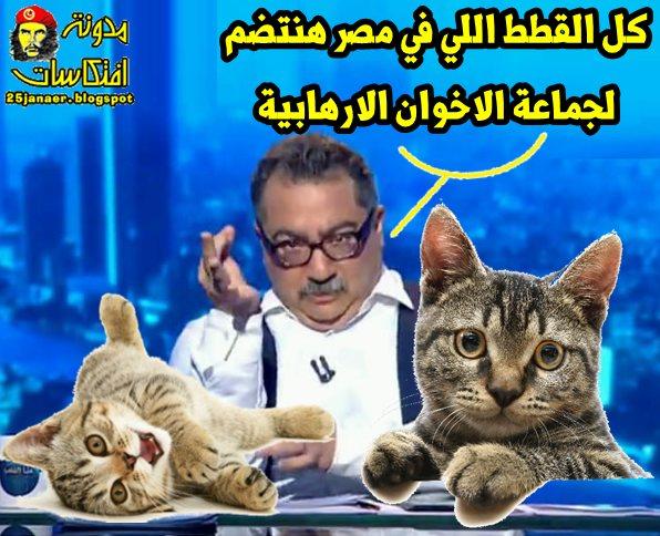 ابراهيم  عيسى : القطط فى مصر ح تنضم لتنظيم الاخوان الارهابية