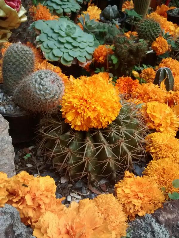 Huele a flores y sospechamos los colores de la fiesta :)