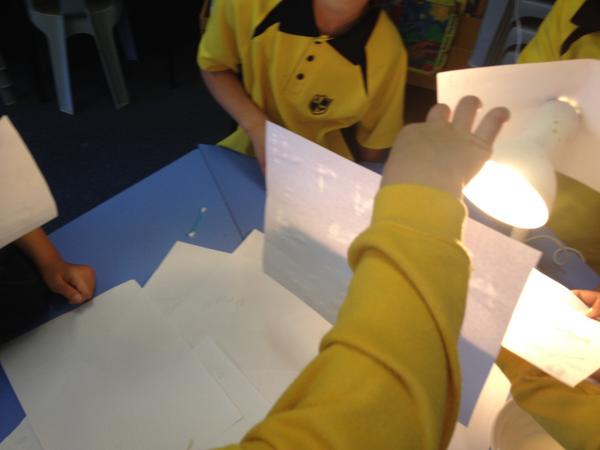 NZPrimaryTeachers tweet media