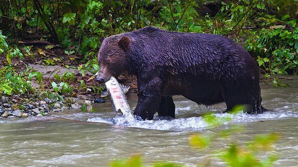 Brian Rundle (@BrianRundle) | Twitter