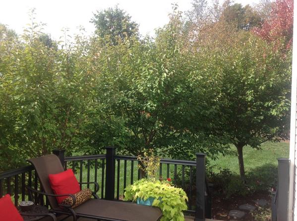 cfalford's tweet photo. our first fall in the Northeast....we are all loving it! http://t.co/ja5dmaCMyW