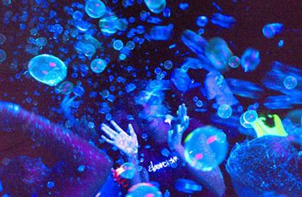 junkpeoplebuy's tweet photo. Blacklight Sensitive Bubbles
http://t.co/crEMANDZEl
#blacklight #fun http://t.co/JQOPBFvPHg