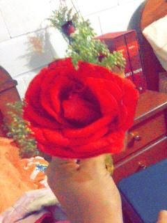 "Nunca había regalado una rosa, y contigo.. Simplemente me nació el detalle". Today♥