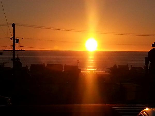 AlisonHart81 tweet picture