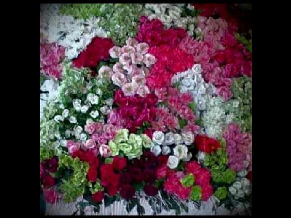 kibodo_62's tweet photo. Ketulusan itu tak bisa dibeli dengan uang dan harta dunia. http://t.co/8PMeCwTmDp