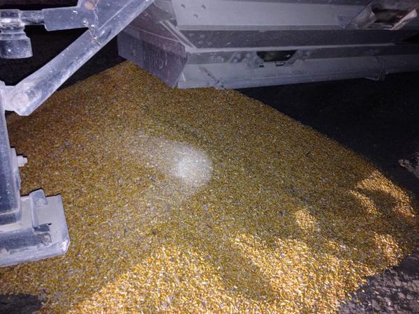 DV959's tweet photo. Oops! Iowa does spill more than some states grow. #harvest14 #pheasantfeed http://t.co/SpxYjpzi1Y