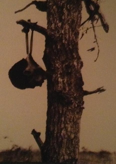 GimmeChels's tweet photo. She's my sister; Break her and I'll be hanging your head on my tree for Halloween 🔪 http://t.co/swZ23R3p9H
