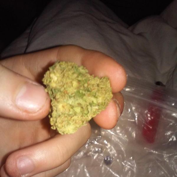 cloutlord480's tweet photo. #Dopey dope #kush #Loud http://t.co/UUVDifZGT5