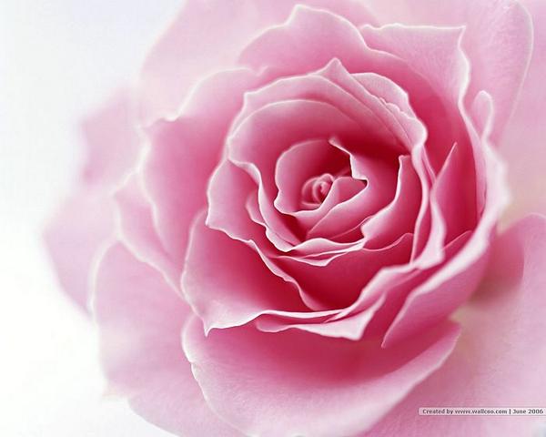 TeemMeClub tweet picture