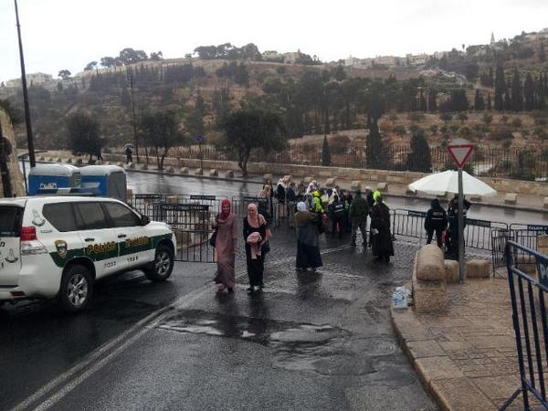 Marwa_101's tweet image. الان دخلنا المسجد الاقصى، وسمح فقط للنساء بدون تحديد اعمار وللرجال فوق الخمسين