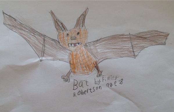 Frobbox's tweet image. Halloween bat....